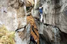 Sarah climbing. (Category:  Rock Climbing)