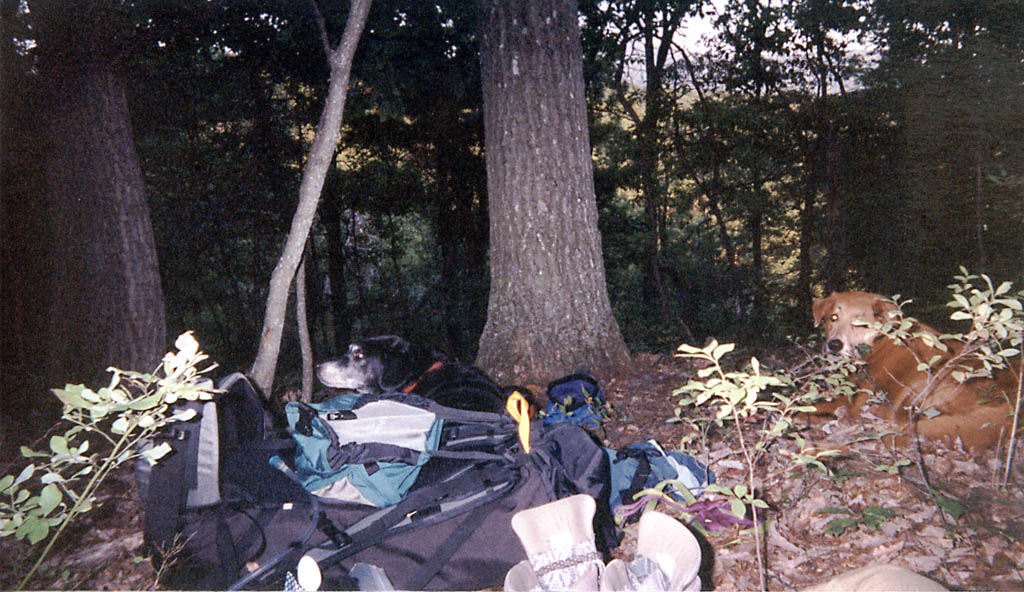 Lance and Mandel resting after a long day of hiking. (Category:  Backpacking)