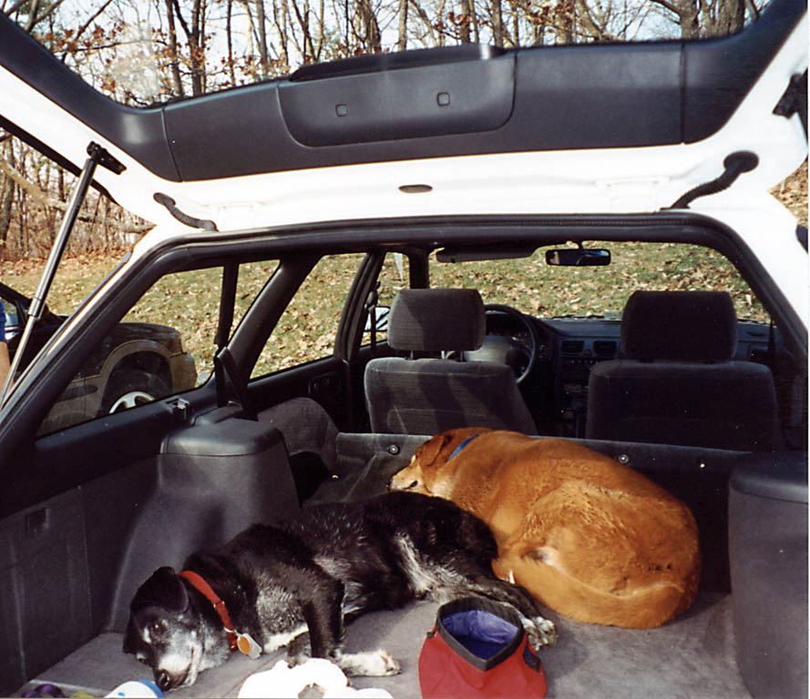 Tired Lance and Mandel after a great trip! (Category:  Backpacking)