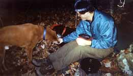 Hand feeding Mandel and Lance. (Category:  Backpacking)
