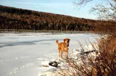 Mandel out on the ice. (Category:  Skiing)