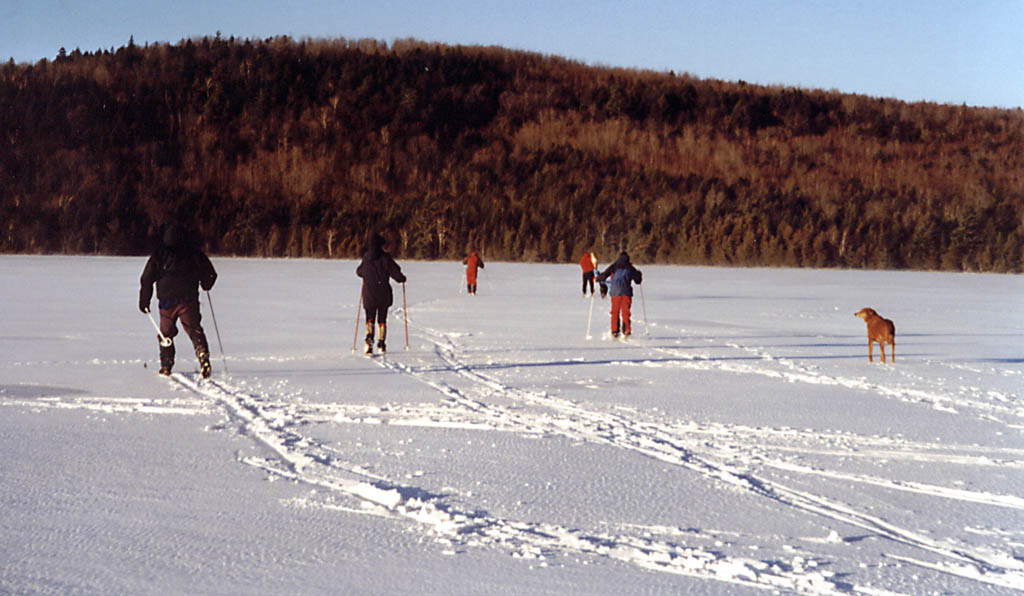 The whole crew skiing across the lake. (Category:  Skiing)