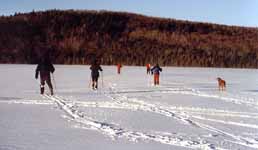 The whole crew skiing across the lake. (Category:  Skiing)
