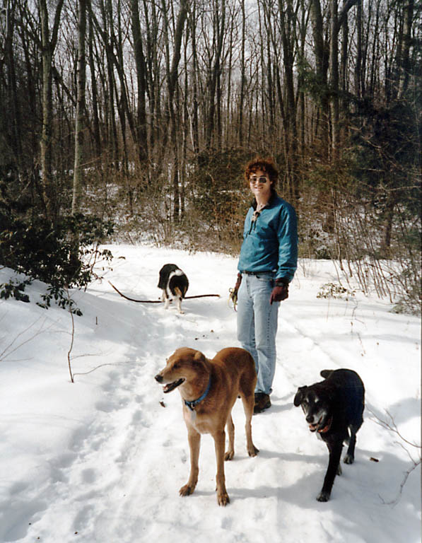 Hiking with Mandel, Lance and Prince (Category:  Family)