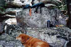 Mandel resting at the base of the cliff. (Category:  Rock Climbing)