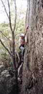 Climbing at the White Rocks area of Sugarloaf. (Category:  Rock Climbing)