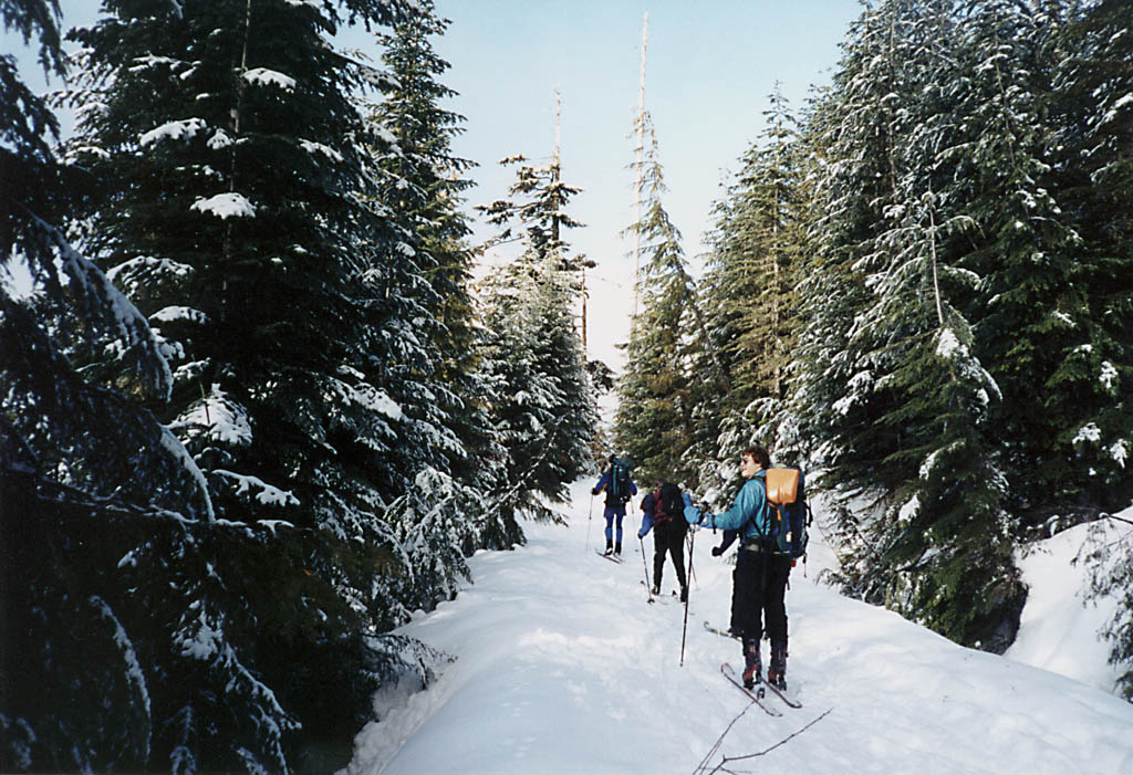 Skiing into the park. (Category:  Skiing)