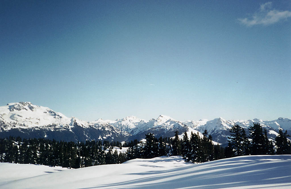 Beautiful wilderness. (Category:  Skiing)