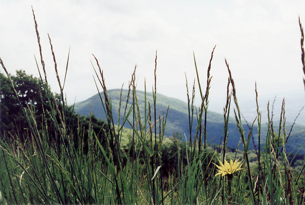 Great time of year to be backpacking. (Category:  Backpacking)