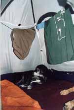 Inside the tent with Lance and Mandel.  Three day CCC trip to Seneca Rocks. (Category:  Rock Climbing)