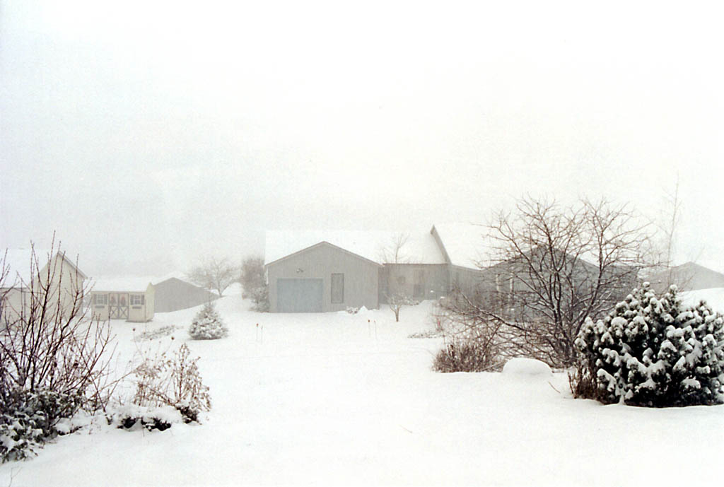 Big snowfall as seen from my kitchen. (Category:  Residence)