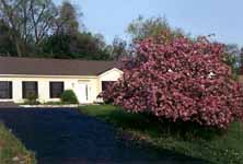 My house with the cherry tree in full blossom. (Category:  Residence)