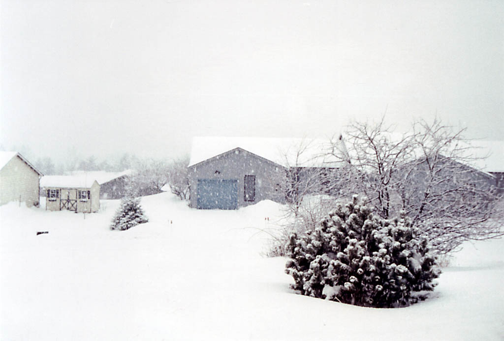 Winter storm. (Category:  Residence)