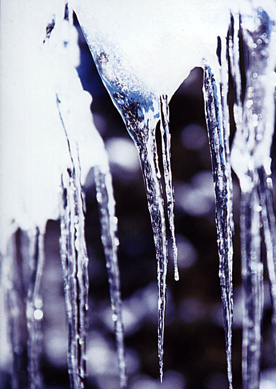 Icicles at the Steamboat House (Category:  Skiing)