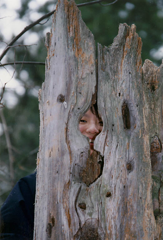 Jinmi looking through an old tree stump. (Category:  Hiking)