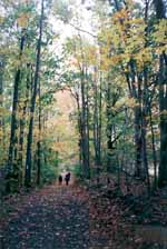 View down a wide section of the trail. (Category:  Backpacking)
