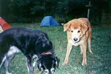 Lance and Mandel. (Category:  Backpacking)