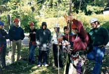 Kelly, Simeon, Jason, Teresa's brother, Becky, Teresa, Brendan and James. (Category:  Tree Climbing)