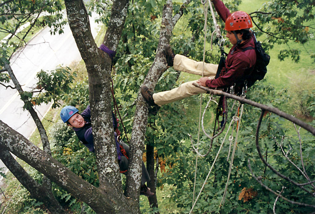 Kelly and Brendan. (Category:  Tree Climbing)