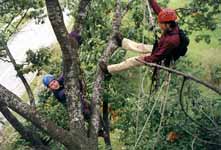 Kelly and Brendan. (Category:  Tree Climbing)