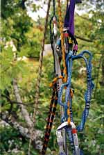 A very colorful anchor. (Category:  Tree Climbing)