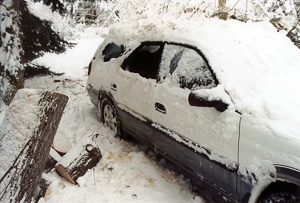 Josh's car after being hit by a falling tree while parked in his driveway. (Category:  Residence)