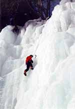 Cleaning Salmon Steak. (Category:  Ice Climbing)