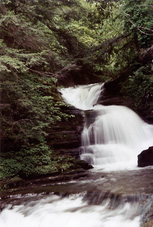 Hiking with Meredith in Treman Park. (Category:  Hiking)