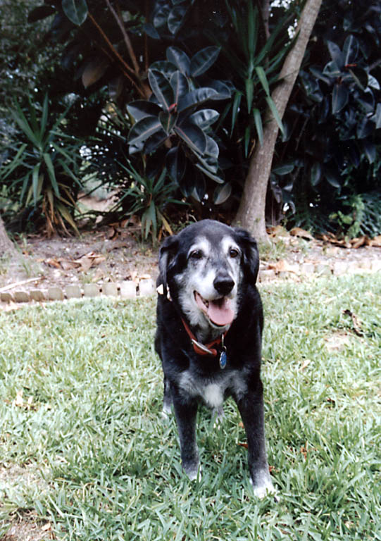 Lance enjoying the sights, sounds and smells of Florida. (Category:  Family)