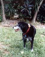 Lance enjoying the sights, sounds, smells and FLOWERS of Florida. (Category:  Family)