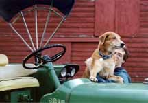 Mandel driving the tractor. (Category:  Family)