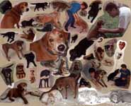 Mandel and Lance collage.  Mostly from birth to around five years. (Category:  Dogs)