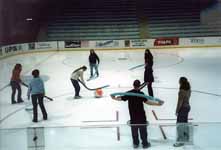 Noodle Hockey. (Category:  Party)
