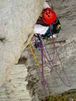 A huge tangle of rope. (Category:  Rock Climbing)