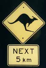 Kangaroo crossing. (Category:  Travel)