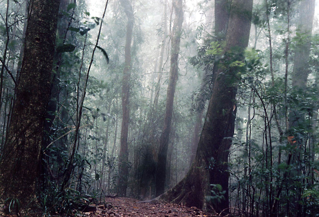 A shrouded figure in the mist? (Category:  Travel)