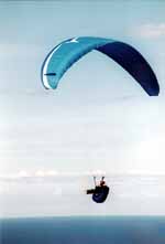 The cliffs along the ocean create updrafts which are popular with the gliders. (Category:  Travel)