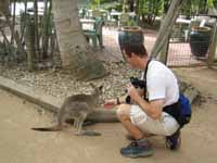 Me with a Kangaroo. (Category:  Travel)
