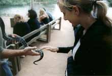 Anna slightly more comfortable with her second snake, a Carpet Python (Category:  Travel)