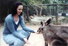 Feeding two Kangaroos. (Category:  Travel)