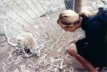 Anna with a Wallaby (Category:  Travel)