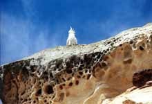 Sulfur Crested Cockatoo on a sandstone cliff. (Category:  Travel)