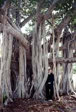 Isabella posing by a huge Banyan Tree. (Category:  Travel)