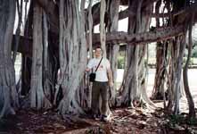 Posing by a huge Banyan Tree. (Category:  Travel)