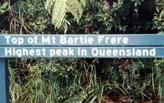 Top of Mt. Bartle Frere (Category:  Travel)