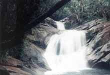 Josephine Falls. (Category:  Travel)