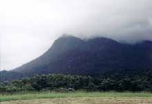 The base of Mt Bartle Frere.  The top shrouded as always in clouds. (Category:  Travel)