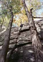 Leading Rhododendron. (Category:  Rock Climbing)