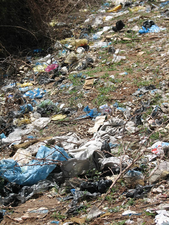 Trash on the school grounds. (Category:  Travel)