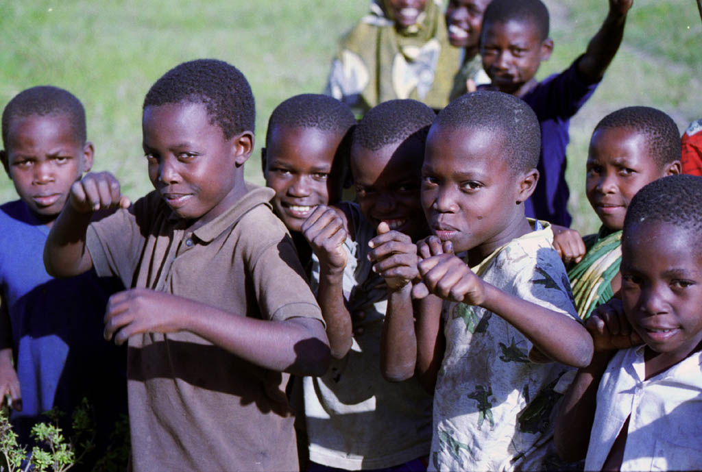 The boys keep striking karate poses. (Category:  Travel)